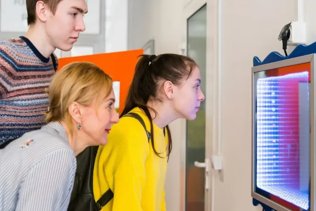 What causes optical illusions?, Brain Shortcuts