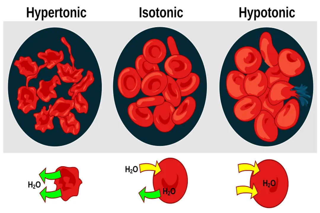 What causes osmotic pressure?
