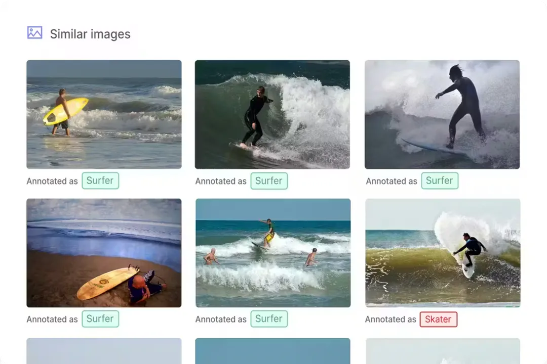 What causes overfitting in models?, Training Dynamics