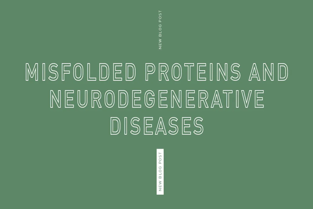 What causes protein misfolding diseases?