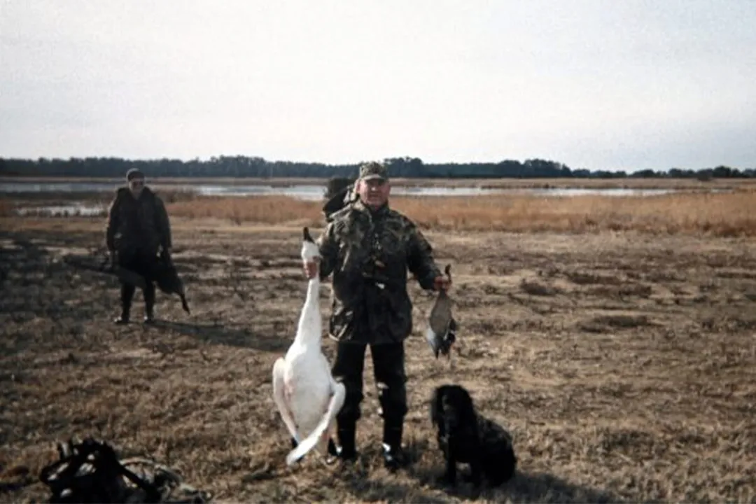 What color eyes do Boykins have?, Registry Differences