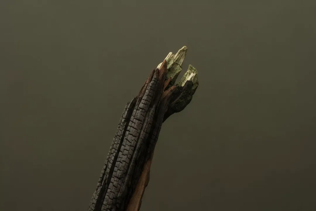 What controls enzyme specificity in biochemical reactions?, Molecular Forces Dictating Specificity