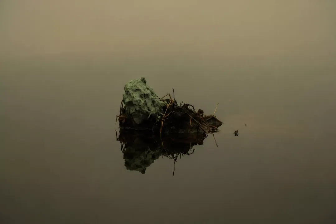 What controls enzyme specificity in biochemical reactions?