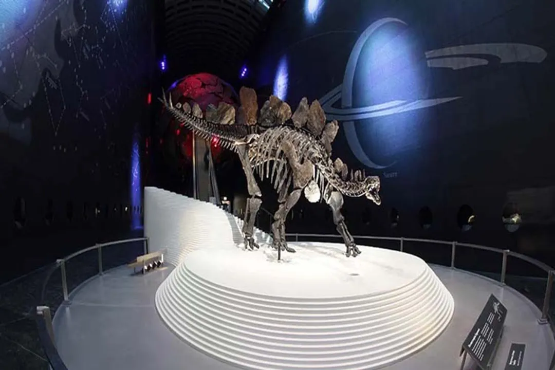 What defines a biological species?, Species Core