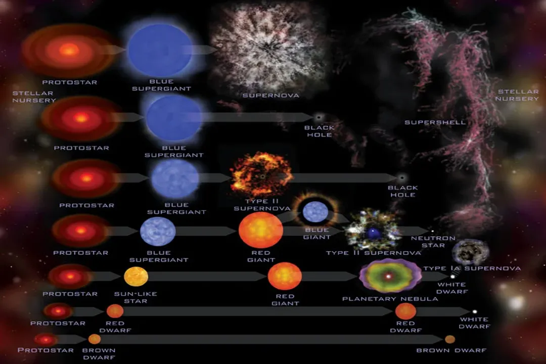 What determines a main sequence star?, Mass Prime Factor