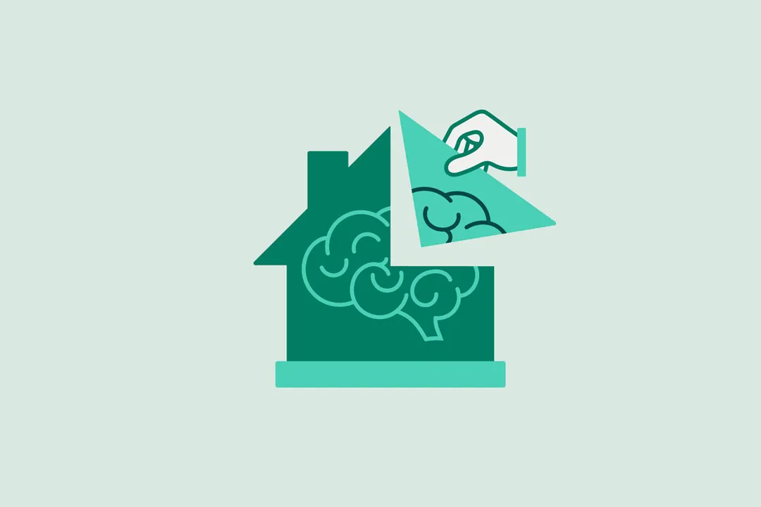 What determines brain plasticity?