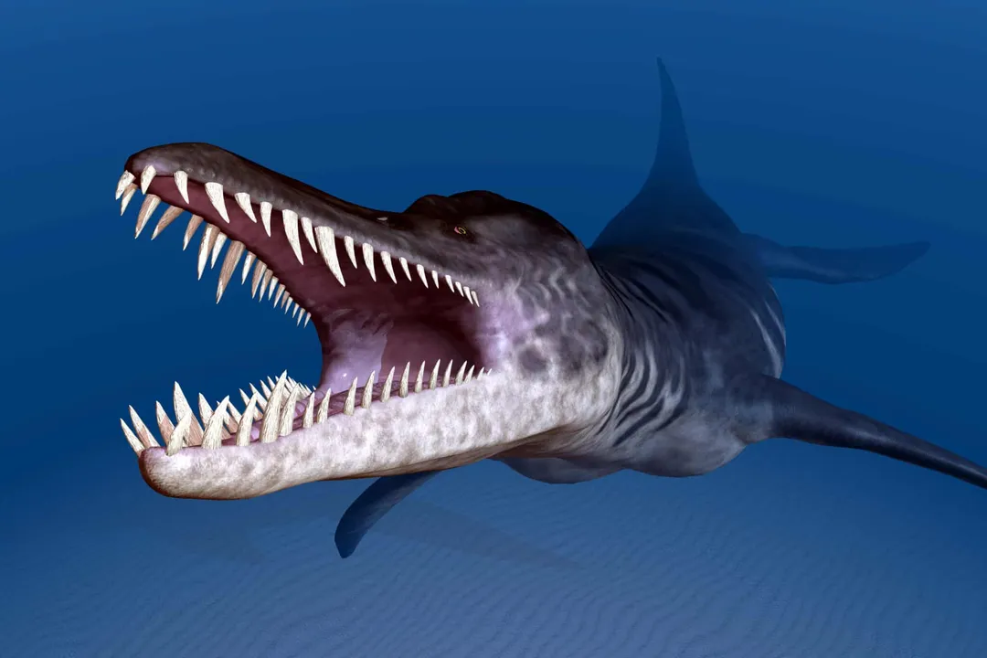 What did the Liopleurodon eat?, Time Period