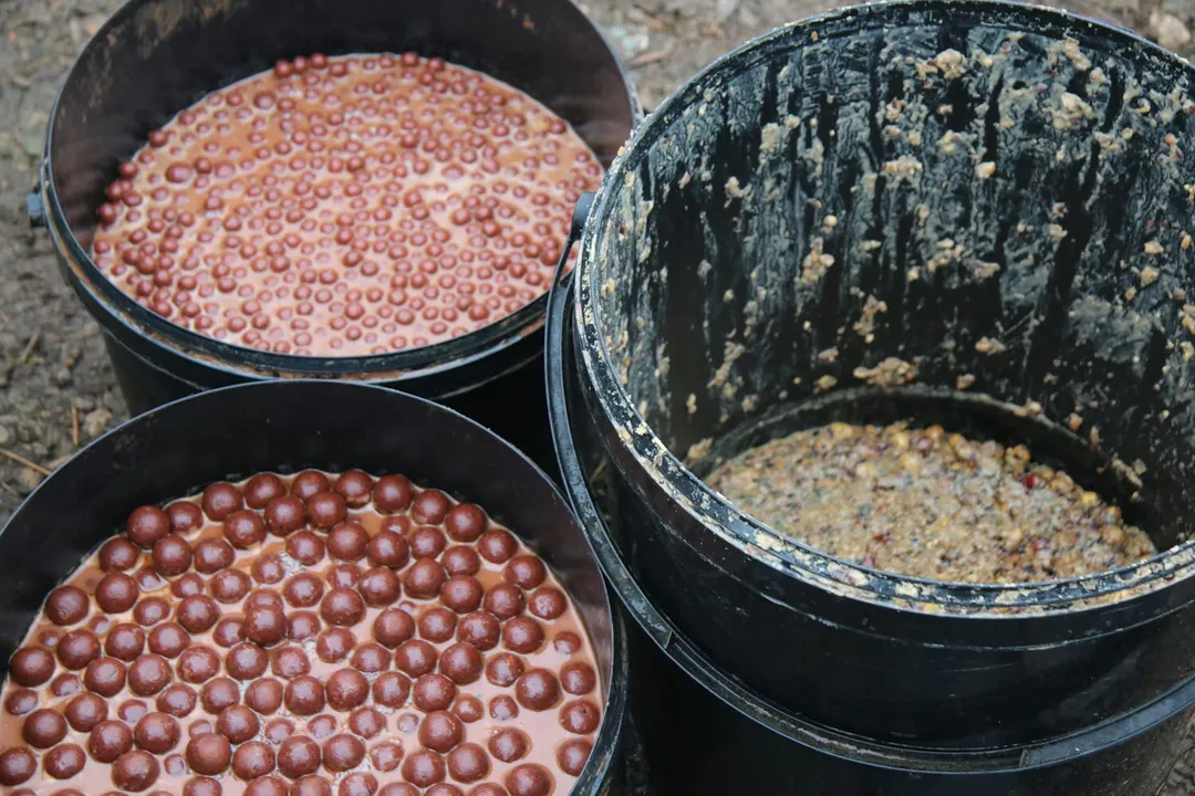 What do carp love the most?, Sweet Attractors