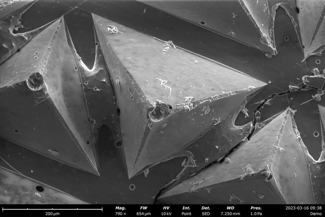 What do electron microscopes allow us to see?