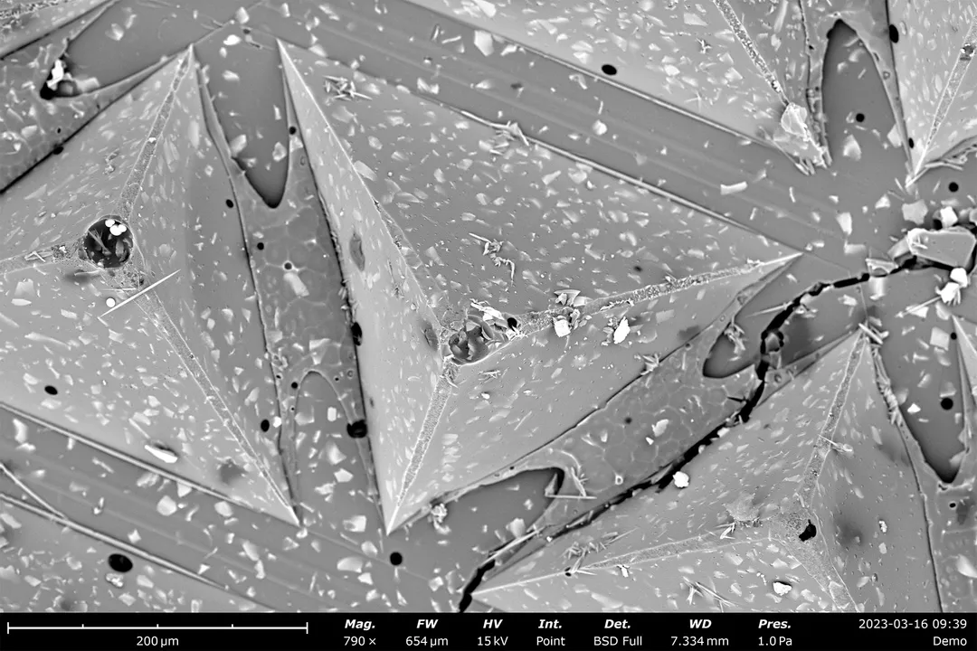 What do electron microscopes allow us to see?, Cell Detail