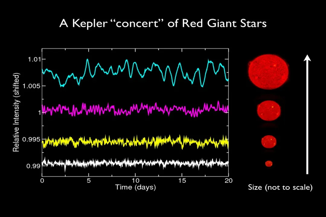 What do red giants evolve from?, Main Sequence Life