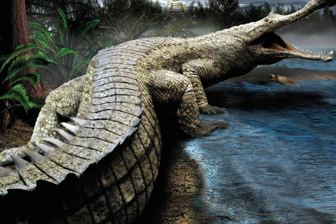 What does the name Rhamphosuchus mean?, Naming History