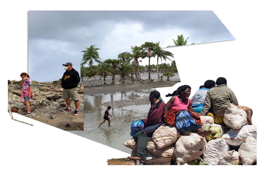 What drives seasonal migration?, Internal Cues