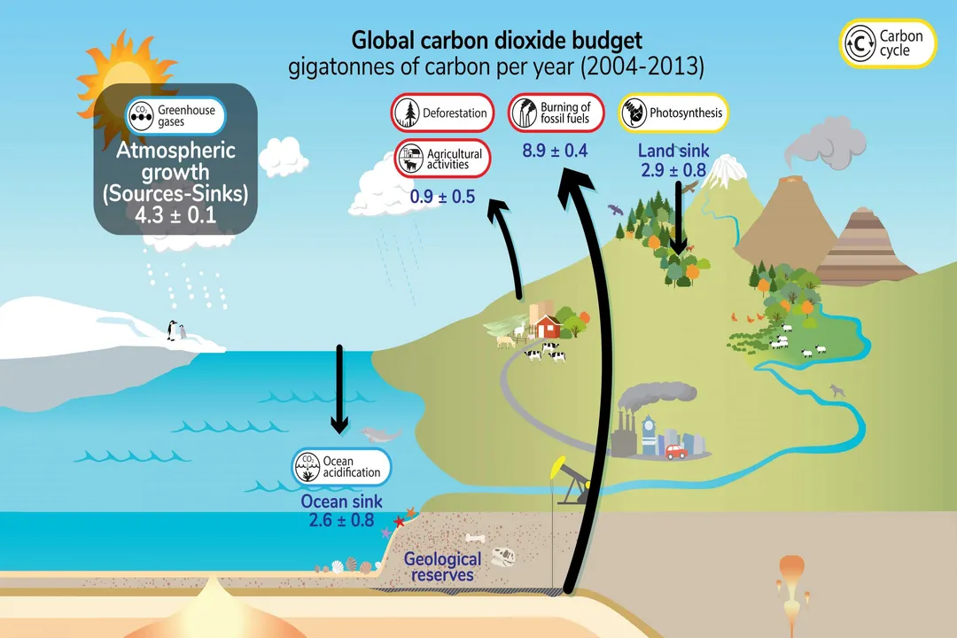 What drives the global carbon cycle?, Anthropogenic Drivers