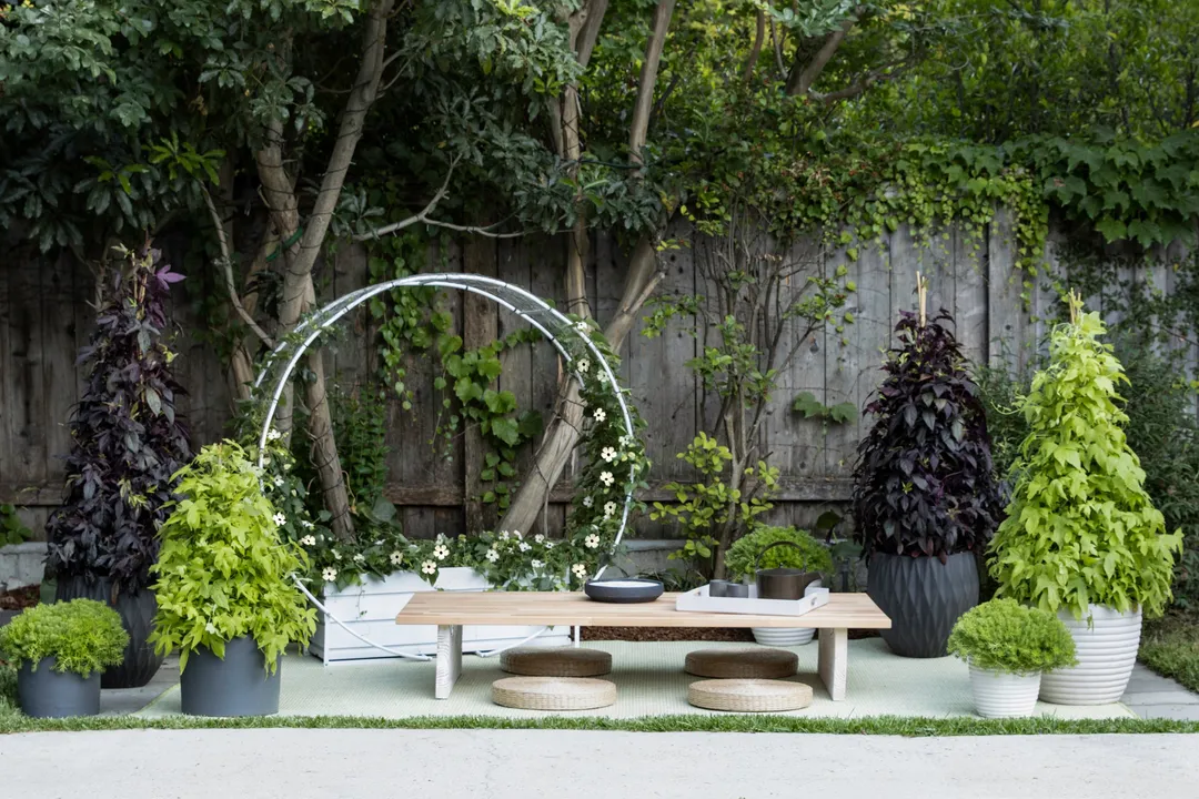 What flower thrives in the harsh environment?, Poor Ground