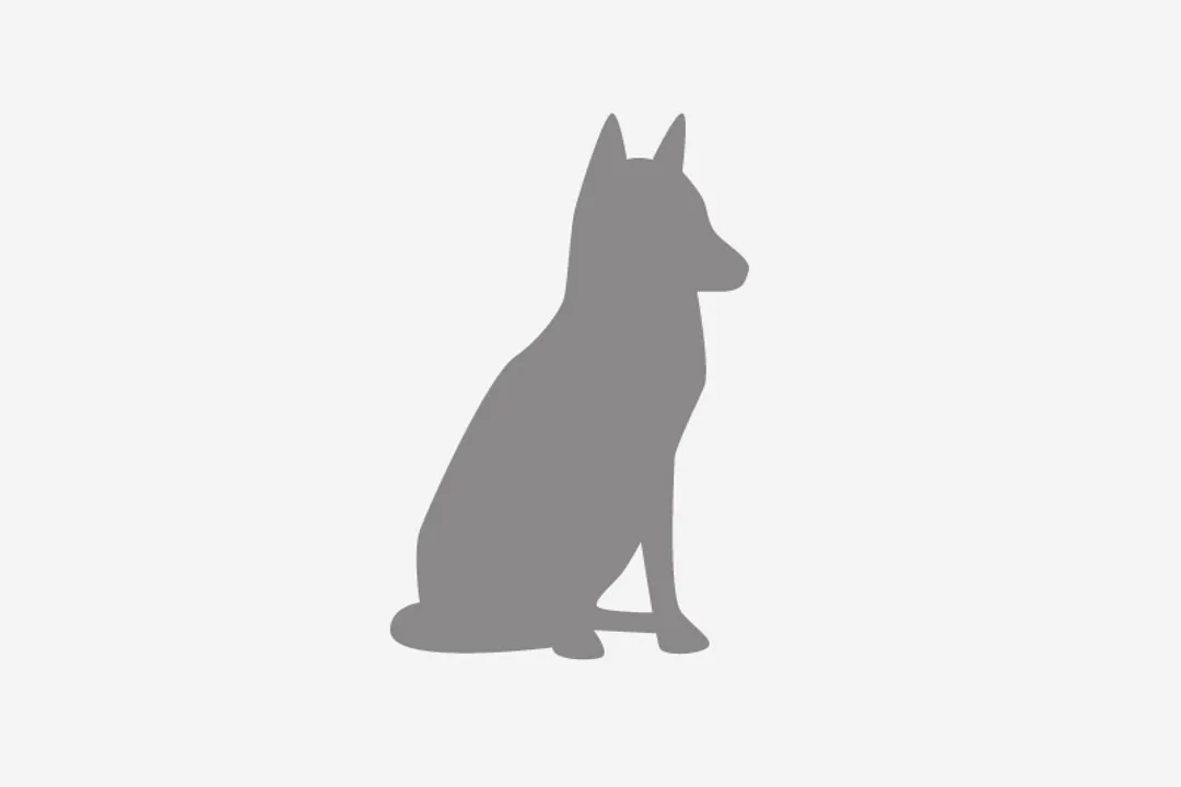 What is a dunker animal?, Breeder Origin