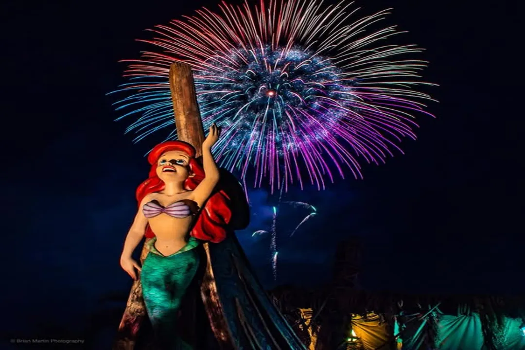 What is a flower that blooms in adversity?