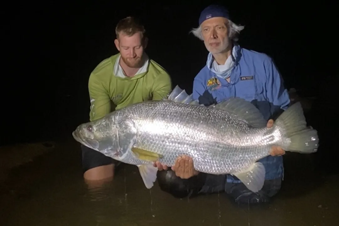 What is a Nile perch for kids?, Eating Habits