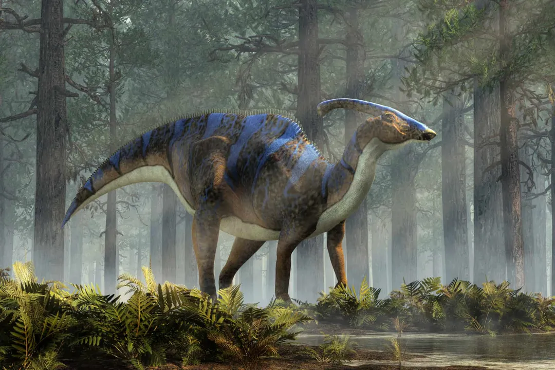 What is a Parasaurolophus favorite food?, Plant Types