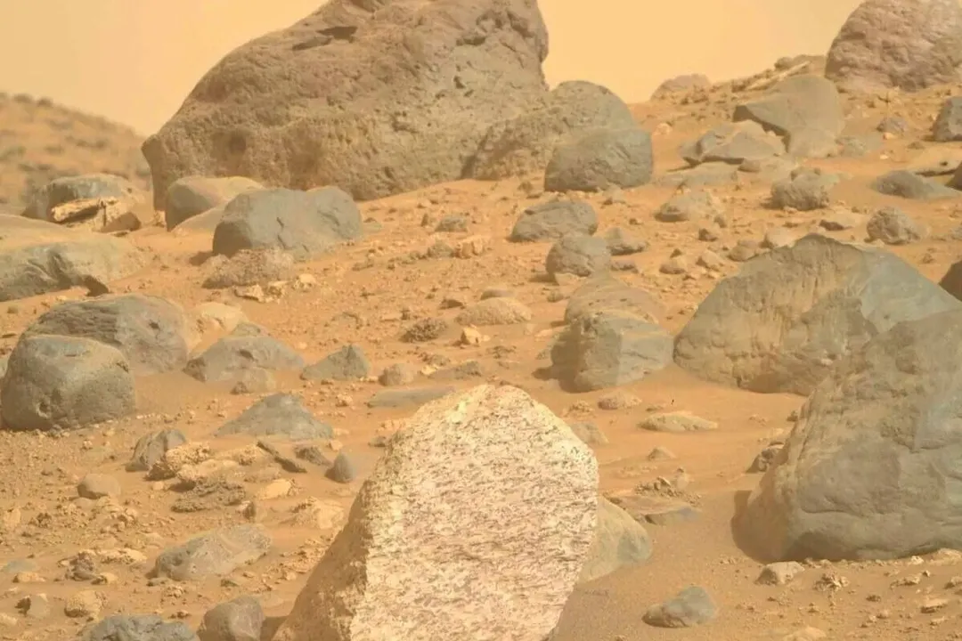 What is a potential biosignature?