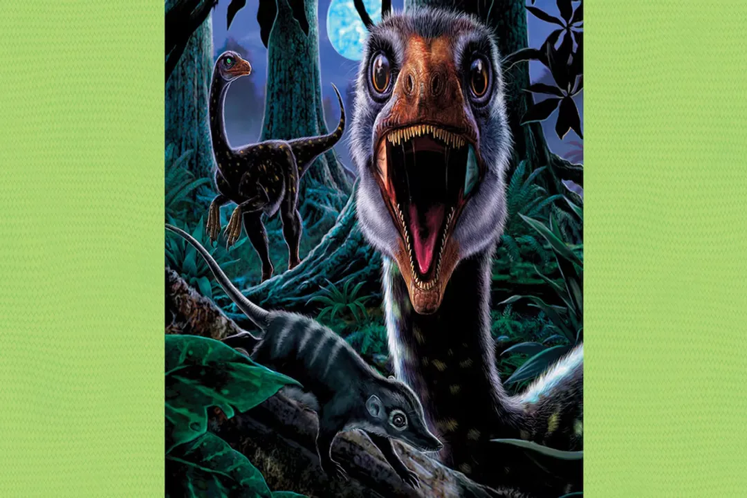 What is a Troodon diet?, What It Ate