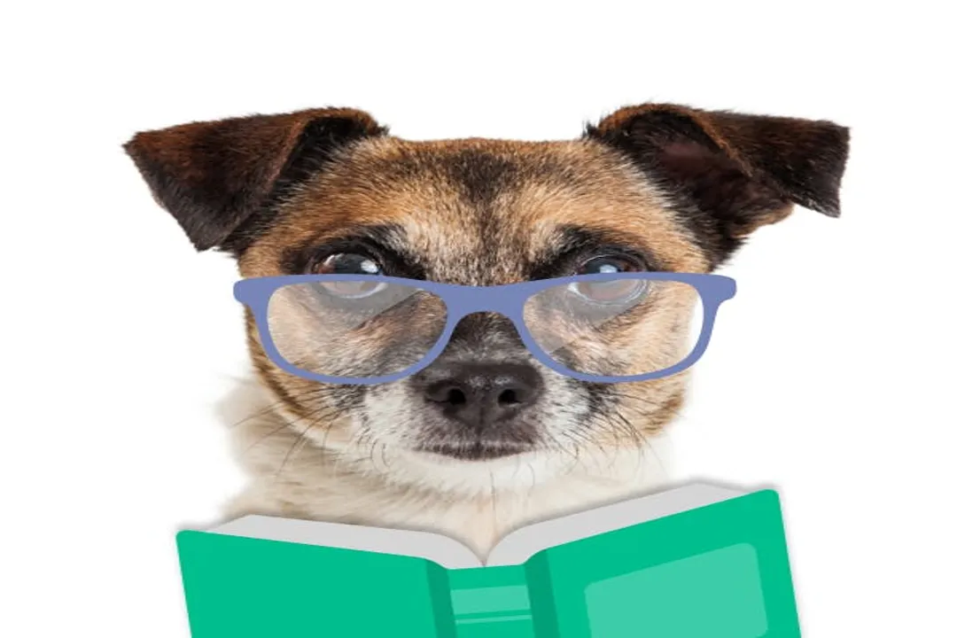 What is an Akita shepherd?, Breed Mix