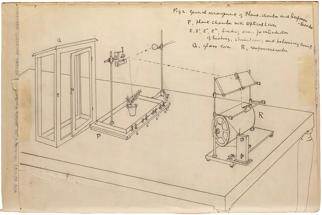What is invented by Jagadish Chandra Bose?