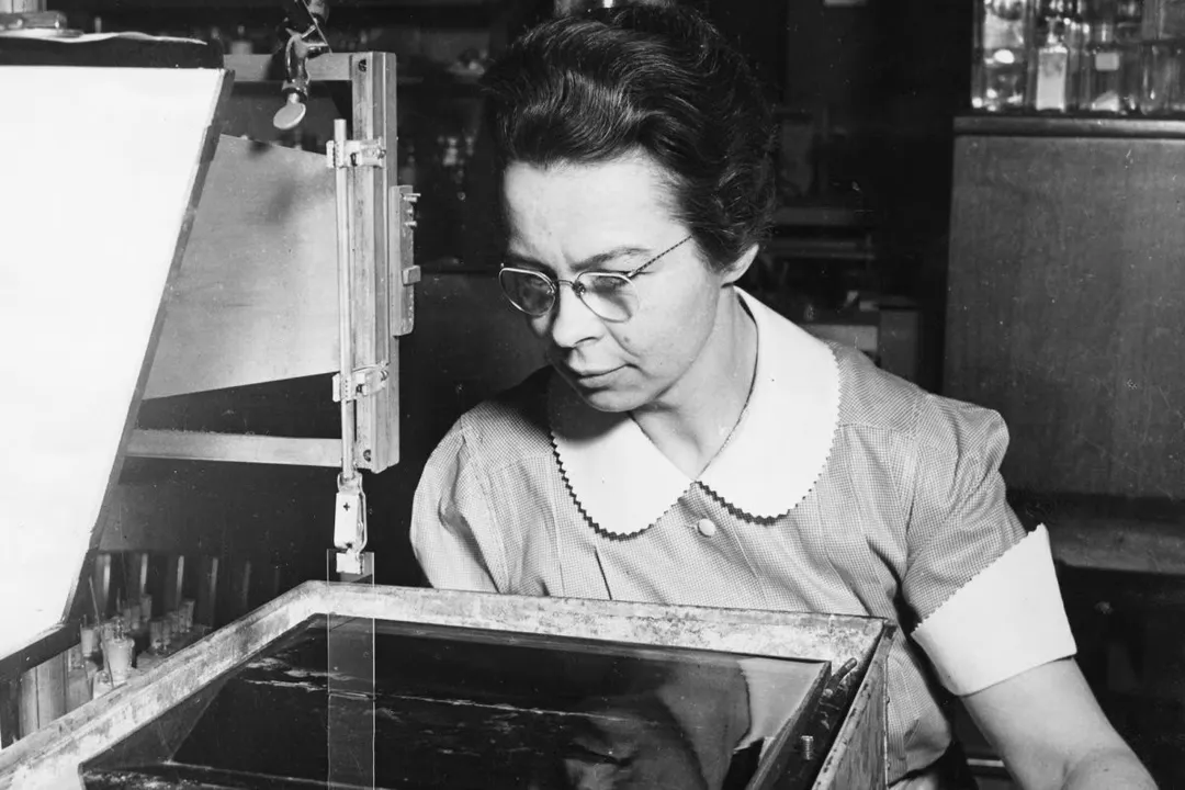 What is one thing made by a woman?, Digital Beginnings