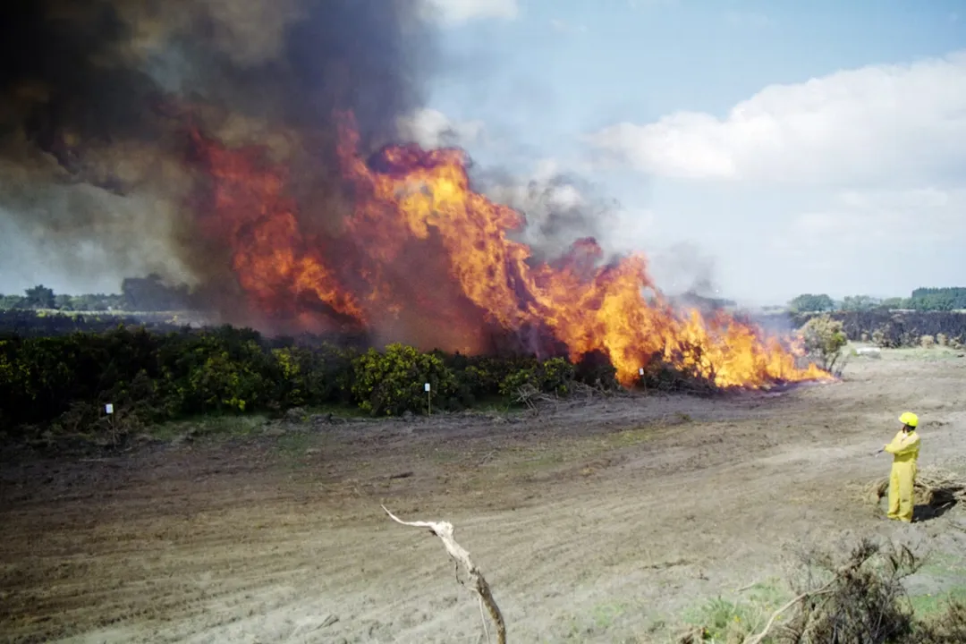 What is required for a fuel to burn?