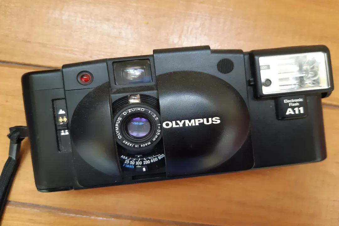 What Greek word is the root for the term camera?