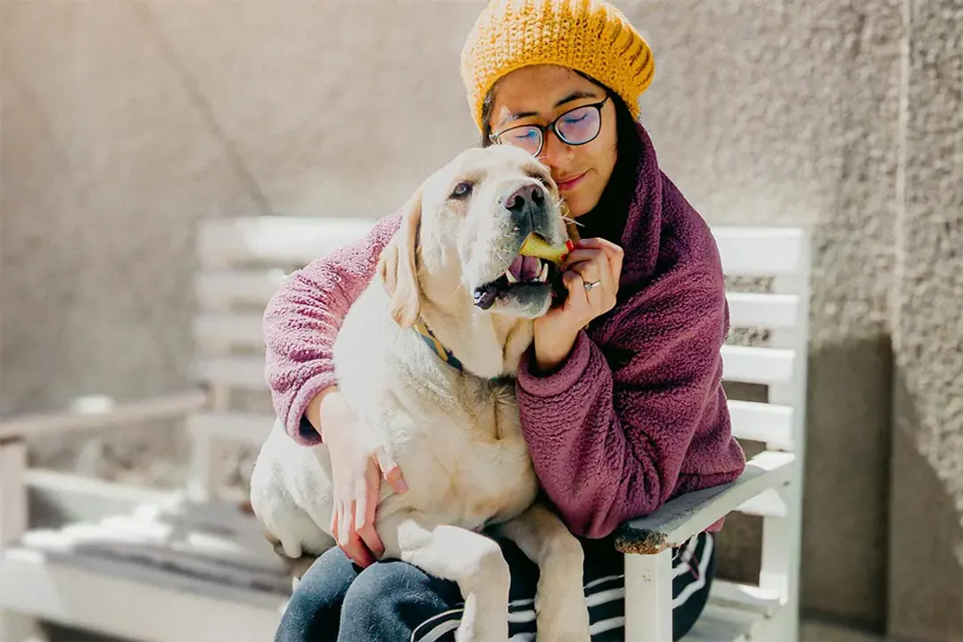 What is the difference between a Golden Retriever and a Goldador?, Temperament and Personality