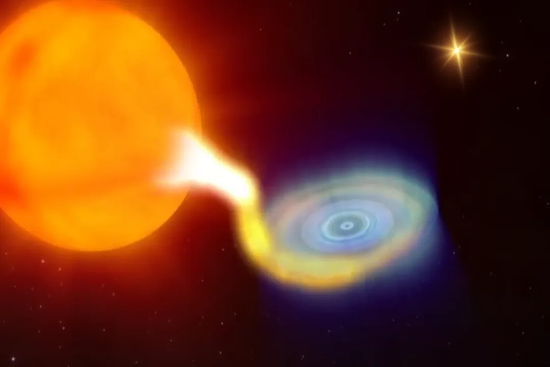 What is the first black hole triple?, System Identification
