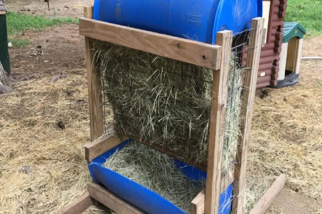 What is the healthiest diet for goats?, Roughage Basis