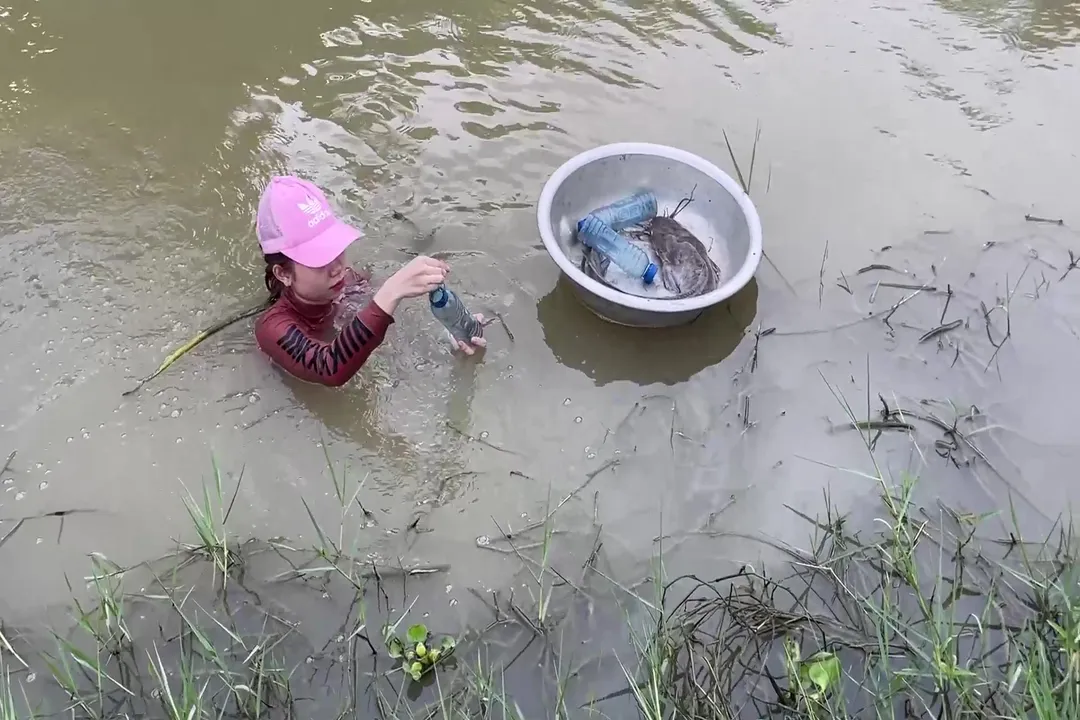 What is the largest dragonfish in the world?, The Giant Claim