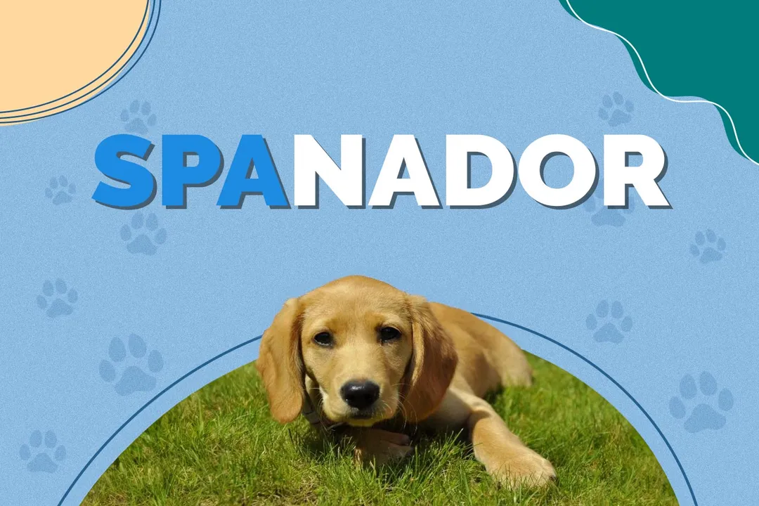 What is the life expectancy of a spanador?, Watch Points