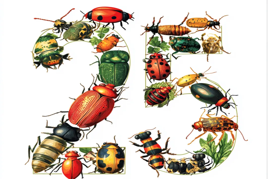 What is the most amazing fact about the insect?, Superlative Strength