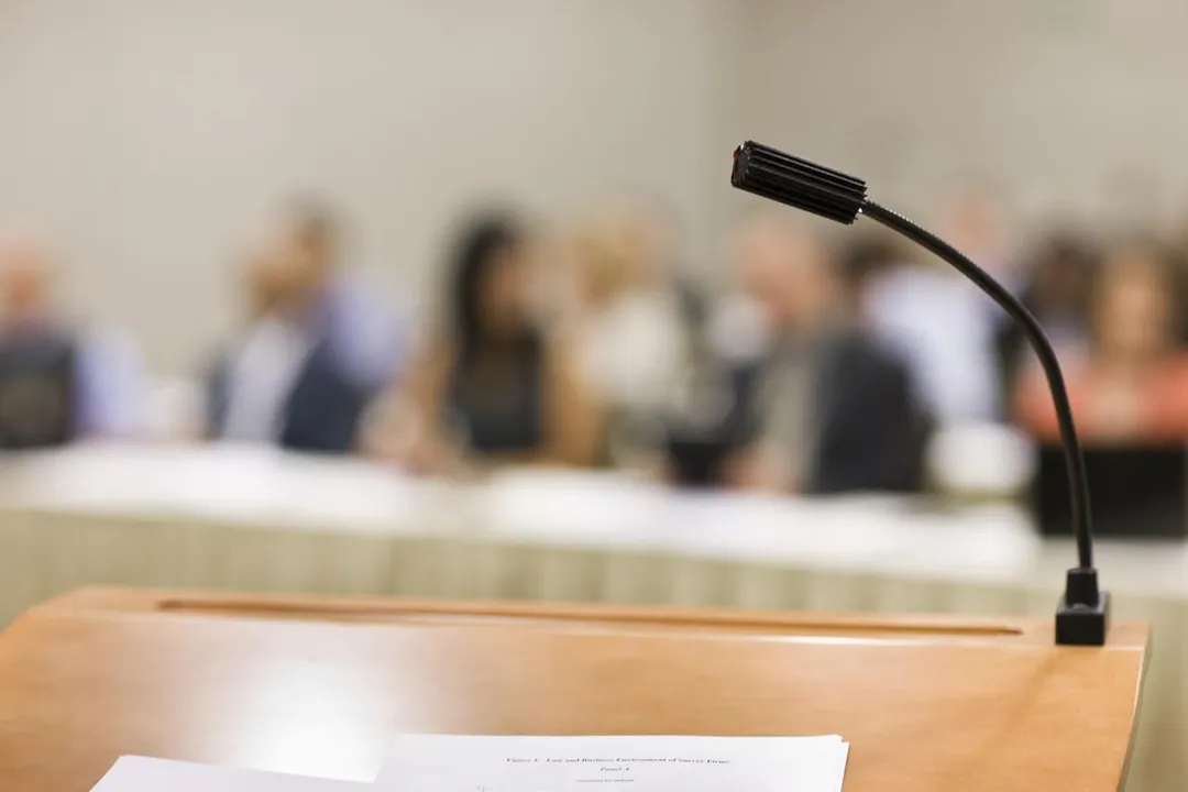 What is the origin of the microphone?