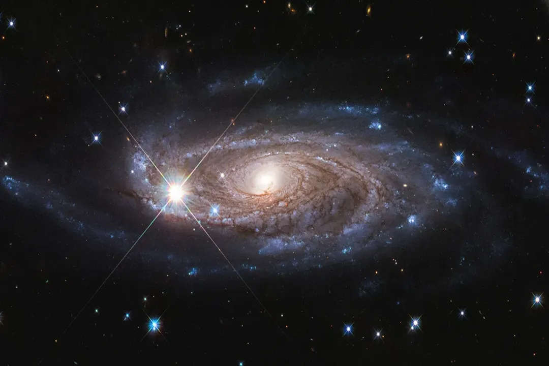 What is the principle that the universe is the same in all directions?, Definition Components