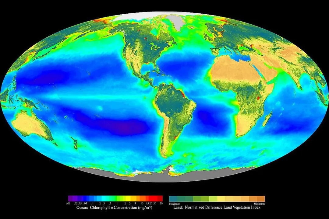 What is the zone where life exists called?, Global Components