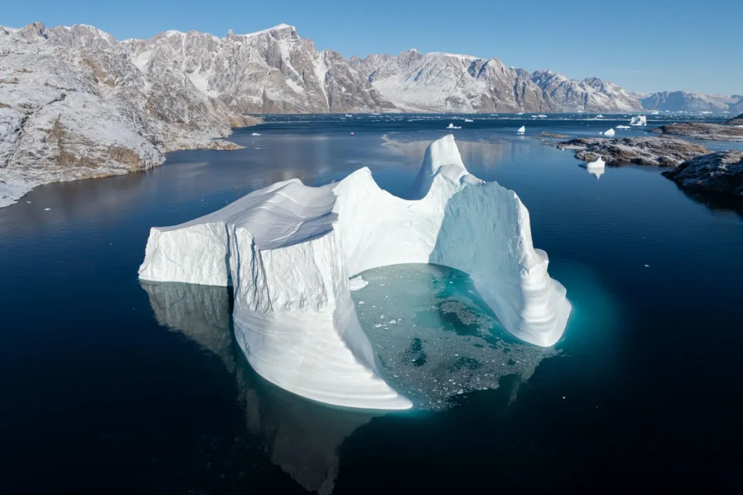 What is unique about a narwhal?, Understanding Their Vulnerability