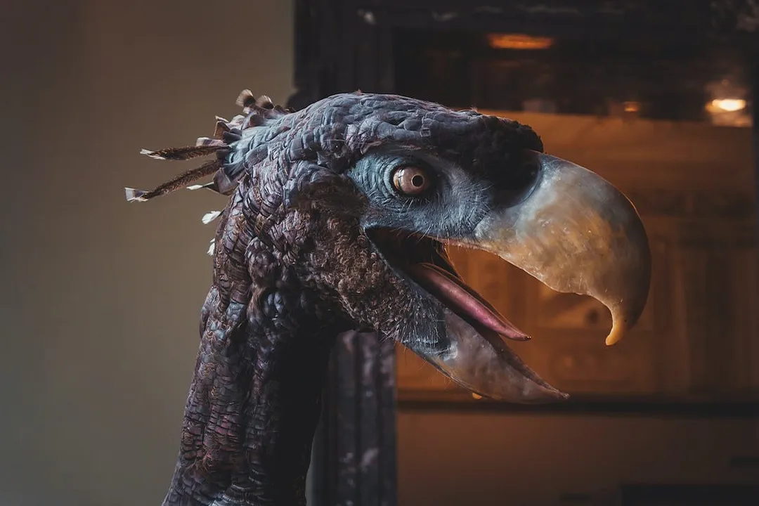 How tall could the largest terror bird species typically reach?