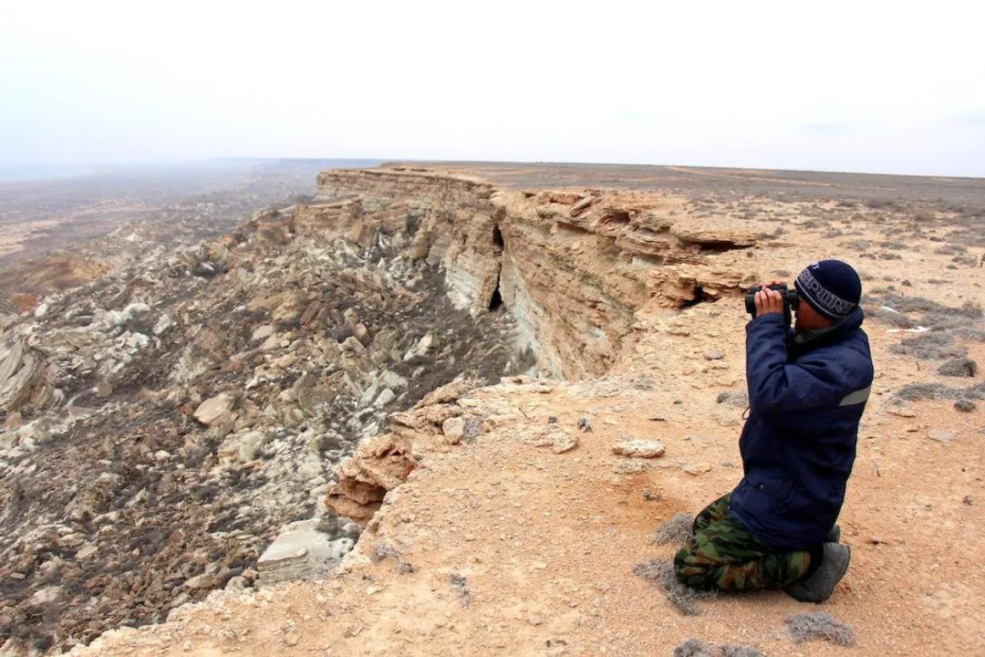 What kind of animal is a saiga?, Distinctive Proboscis