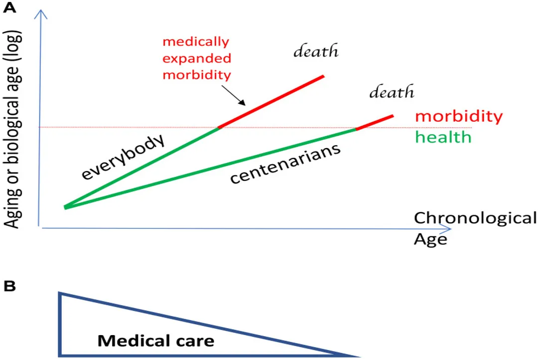 What limits human lifespan biologically?, Hard Limit