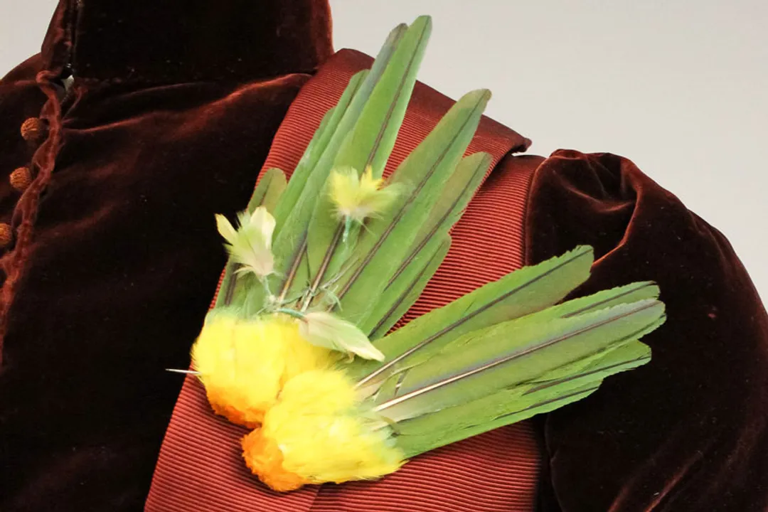 What made the Carolina parakeet unique?, Range Expansion