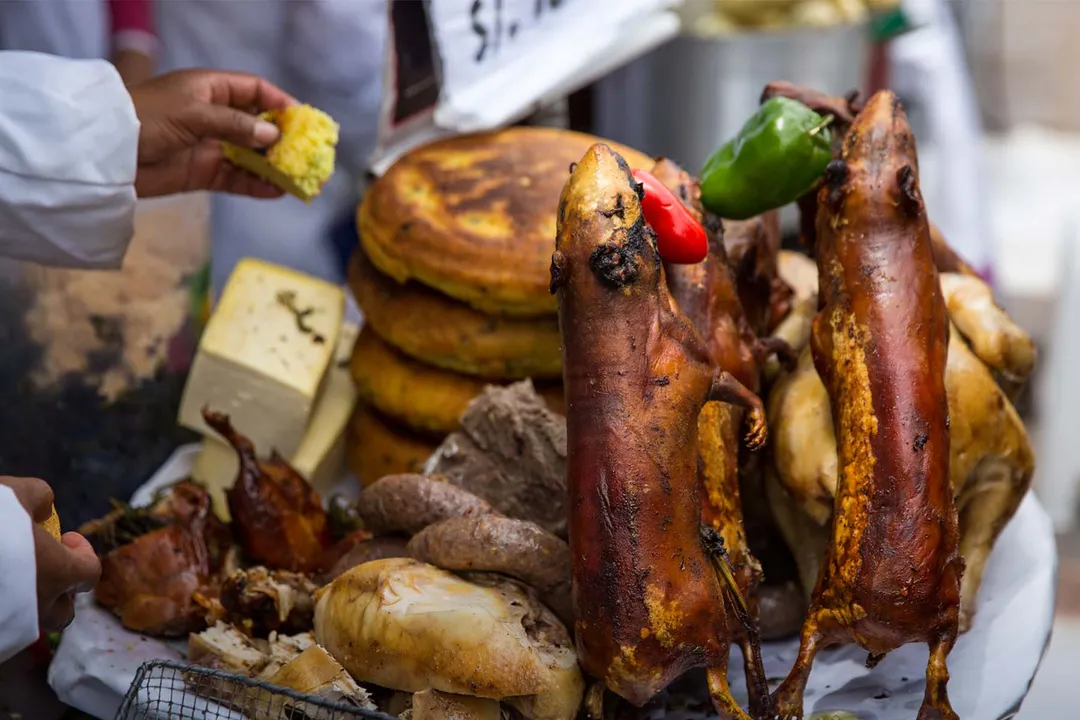 What makes Peruvian guinea pigs unique?, Culinary Status