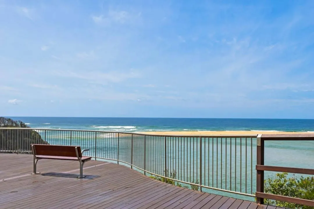 What not to feed Rainbow Lorikeets?, Seed Trap