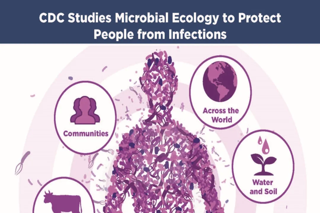 What role do microbiomes play in health?, Immune Education