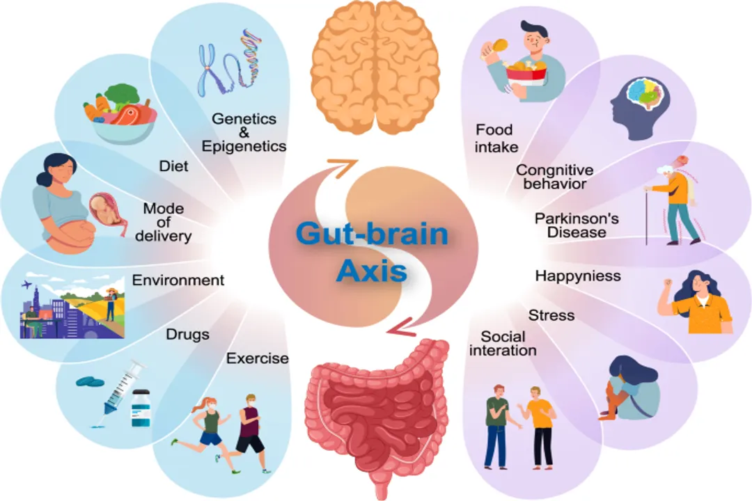 What role do microbiomes play in health?, Nutrient Processing