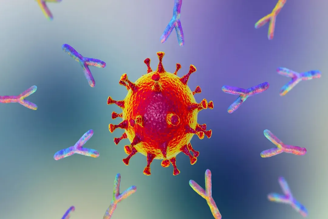 What triggers antibody production?, Immune Defense Proteins