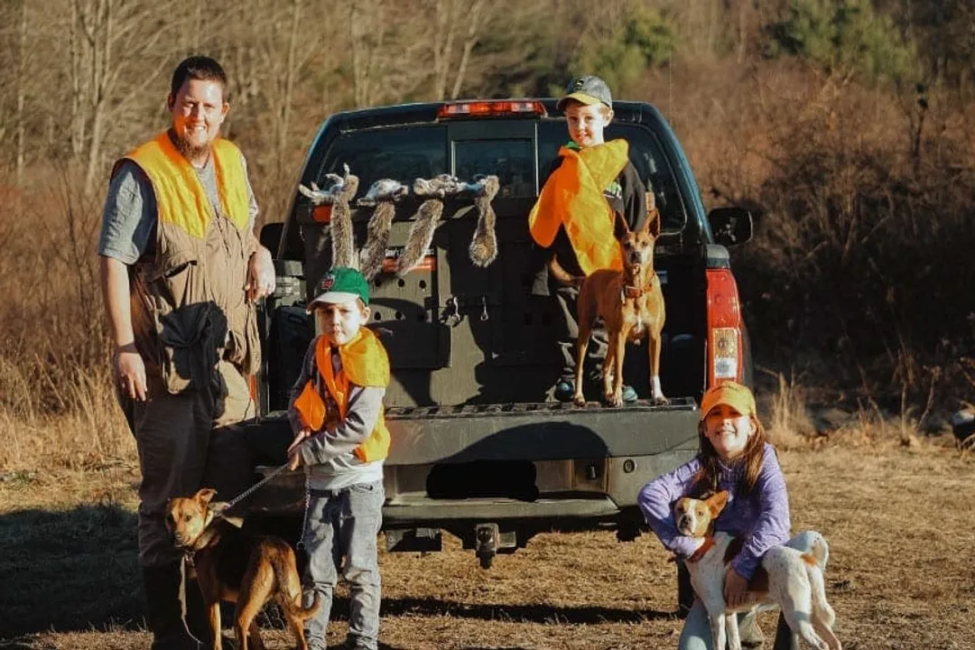 What type of dog is a Mountain Feist?, Southern Origins